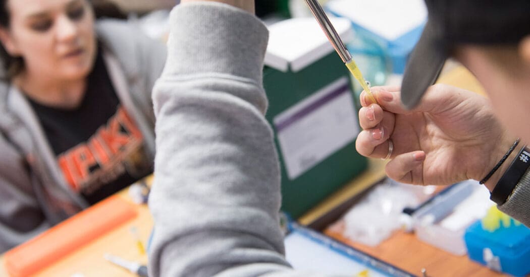 Student uses pipette in biology class.